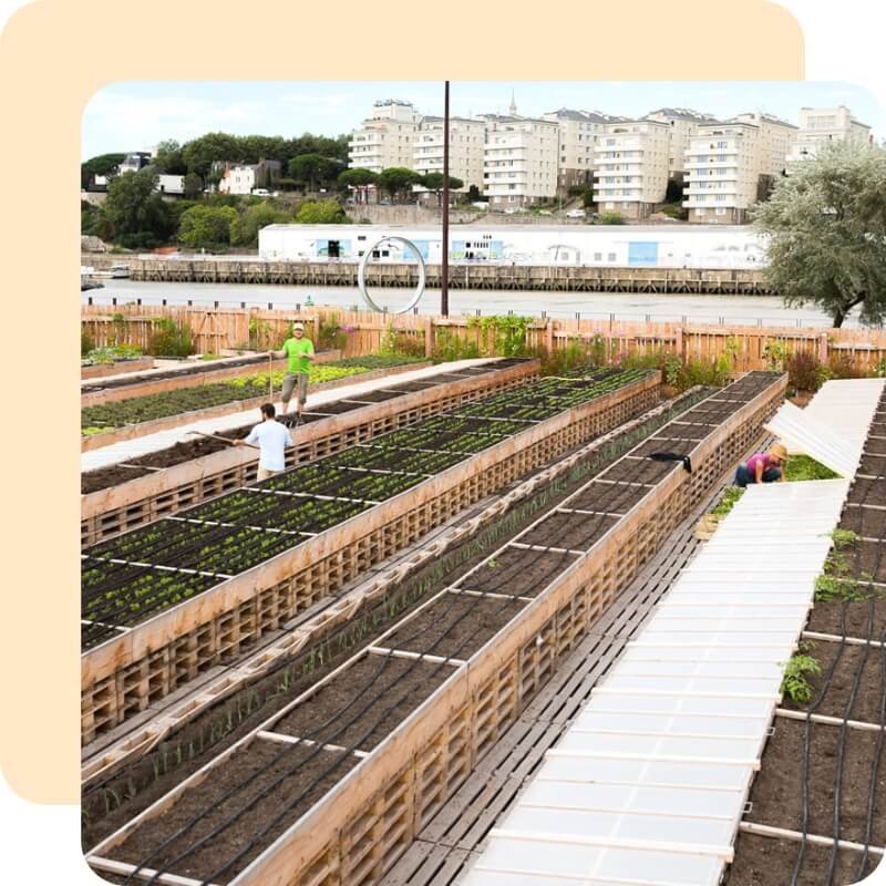 Formation Agriculture Urbaine a distance
