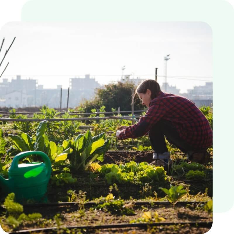 Formation certifiée Agriculture Urbaine